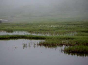 �V��̒�@���^�X�Q�̌Q��